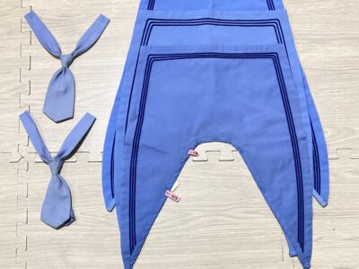 大納言様　4-4　ピカルナ☆らんど